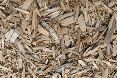 biomass boilers Spittlegate